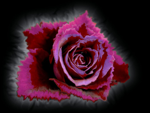 419603 (a): :1024x768